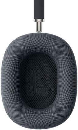 Apple AirPods Max (No Case Included)