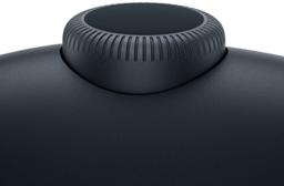 Apple AirPods Max (No Case Included)