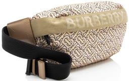 Burberry Nylon TB Monogram Sonny Bumbag