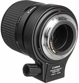 Canon MP-E 65mm f/2.8 1-5x Macro Photo Lens