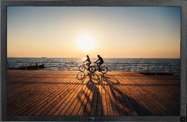 Dell E1910c Widescreen LCD Monitor 19" (No Stand)