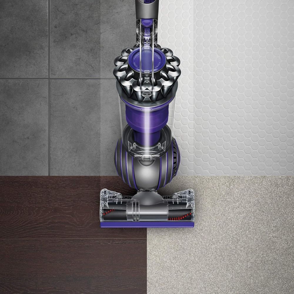 Dyson Ball Animal 2 Upright Vacuum Cleaner
