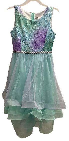Emily Rose Girl's Dress 12