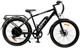 GoPowerBike GoEagle Electric Bike