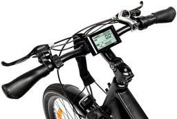 GoPowerBike GoEagle Electric Bike