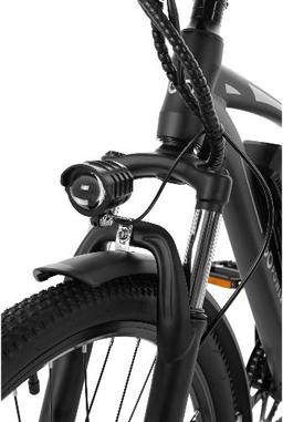 GoPowerBike GoFalcon Electric Bike
