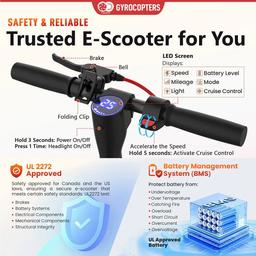 Gyrocopters Flash 6.0 Electric Scooter - Black