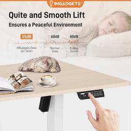 IMGadgets Standing Electric Adjustable Desk 47" x 24" - Walnut