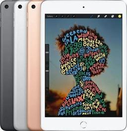 Refurbished iPad Mini 5 (2019) with Screen Protector - Reebelo Canada