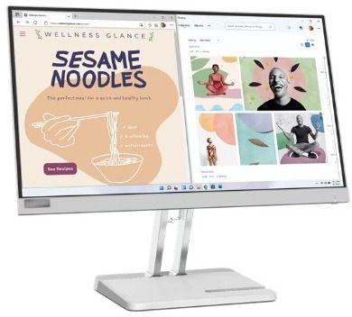 Lenovo L22e-40 Monitor 21.45" - Gray