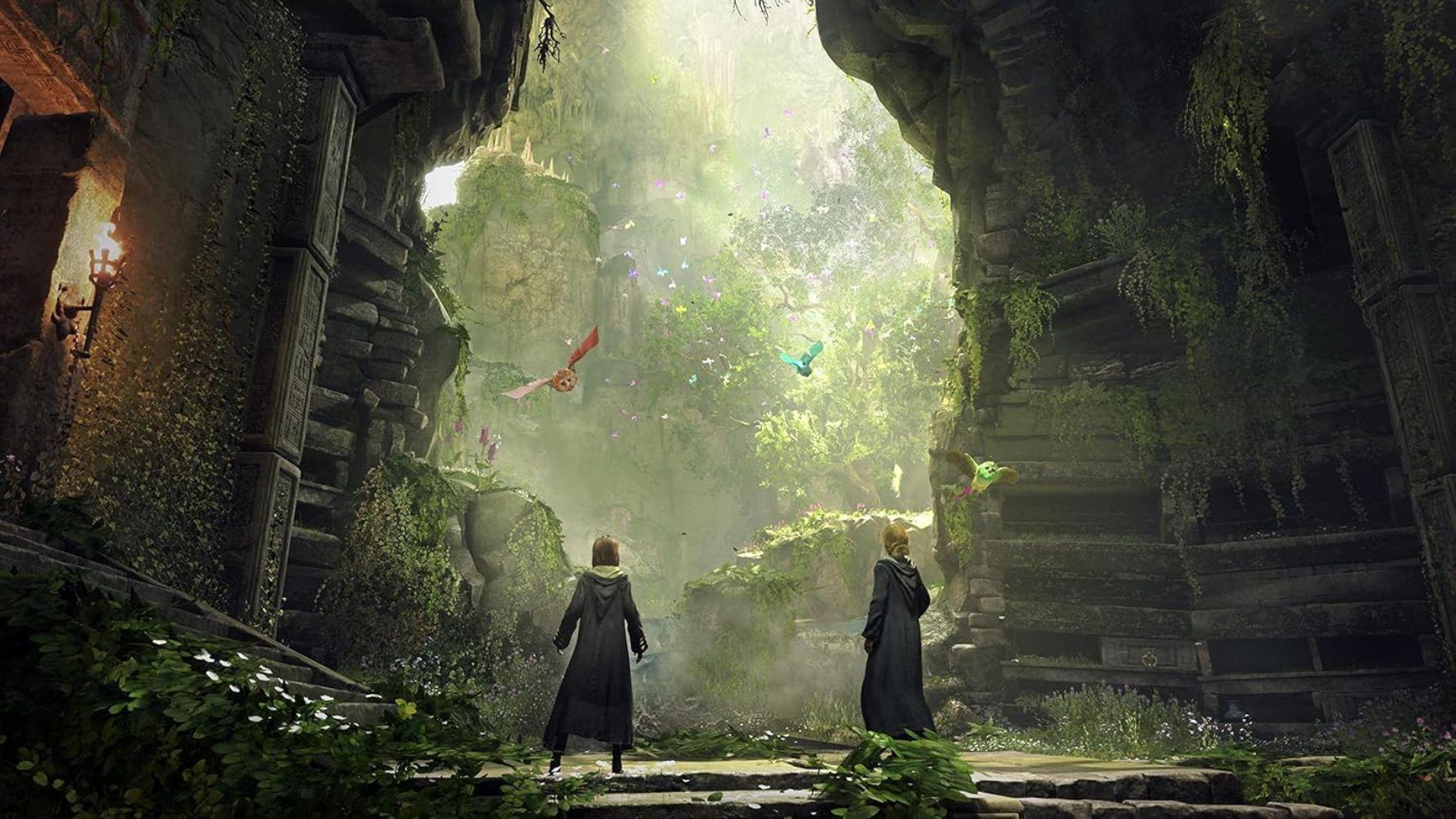 Sony PS4 Hogwarts Legacy Video Game