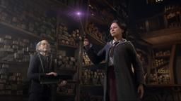 Sony PS4 Hogwarts Legacy Video Game