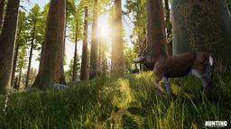 Sony PS4 Hunting Simulator Video Game