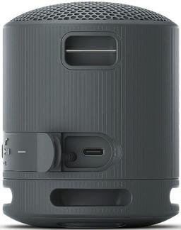 Sony SRS-XB100 Portable Wireless Speaker - Black