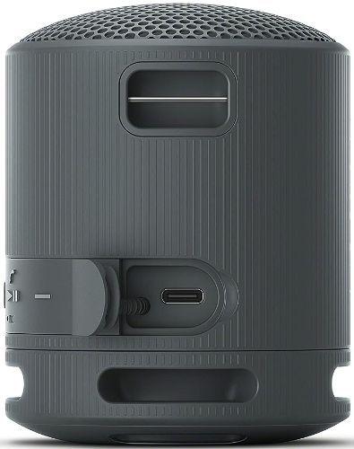 Sony SRS-XB100 Portable Wireless Speaker - Black