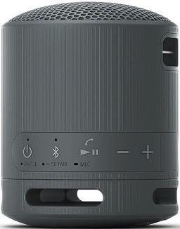 Sony SRS-XB100 Portable Wireless Speaker - Black
