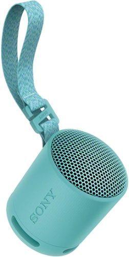 Sony SRS-XB100 Portable Wireless Speaker - Blue