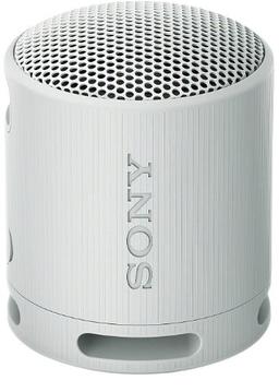 Sony SRS-XB100 Portable Wireless Speaker - Gray