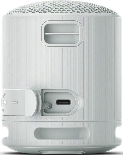 Sony SRS-XB100 Portable Wireless Speaker - Gray