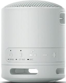 Sony SRS-XB100 Portable Wireless Speaker - Gray