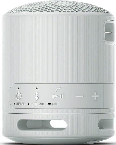 Sony SRS-XB100 Portable Wireless Speaker - Gray