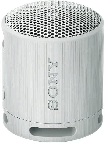 Sony  SRS-XB100 Portable Wireless Speaker - Gray - Premium
