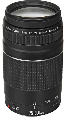 Canon EF 75-300mm f/4-5.6 III Telephoto Zoom Lens with UV Filter